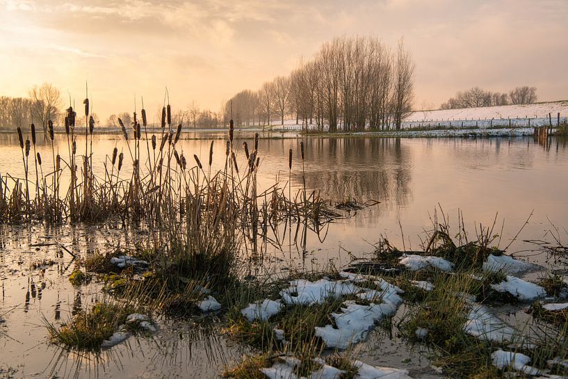 Gouden gloed kort voor zonsondergang van Ruud Morijn