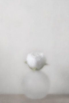 Matglazen vaasje met witte bloem