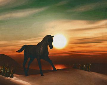 Paard bij zonsondergang van Jan Keteleer