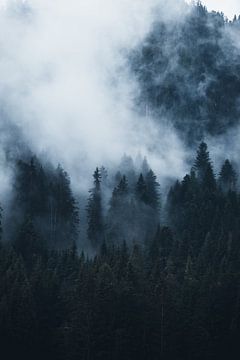Nebeltag in den Dolomiten