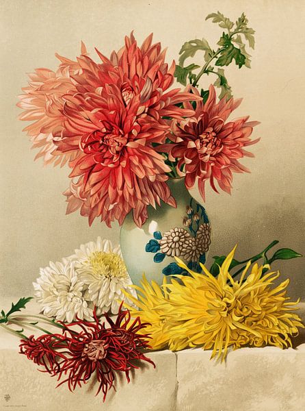 Chrysanthemums, William Duffield by Masterful Masters