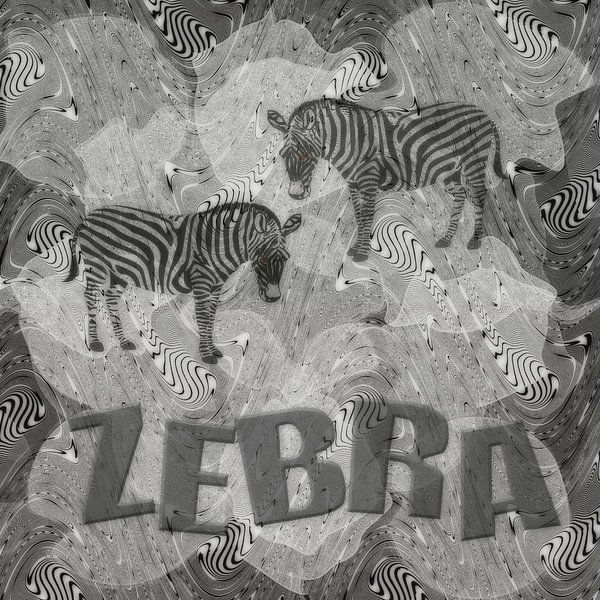 Zebra - monochrome by Christine Nöhmeier