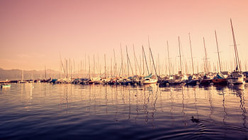 Coucher de soleil doré sur des voiliers au lac Léman