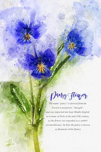 Pensée bleue