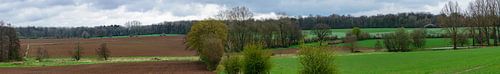 Panorama landbouwlandschap Froidchapelle