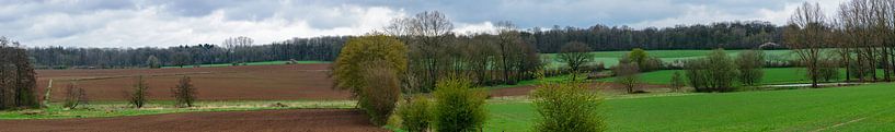 Panorama landbouwlandschap Froidchapelle van Kristof Leffelaer