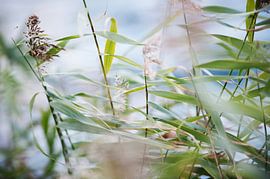 Journée ventée sur Txell Alarcon