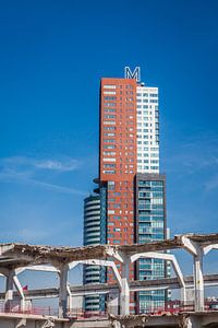 Montevideo Rotterdam