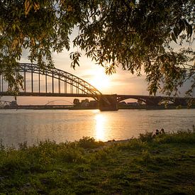 Waalbrücke Nijmegen von Monique Pals