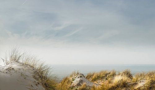 0190 Noordzee duinen