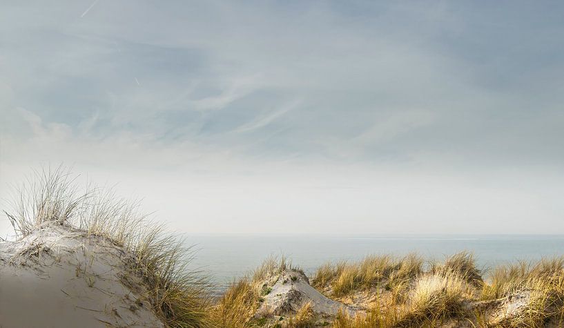 0190 North Sea dunes by Adrien Hendrickx
