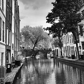 Le printemps sur le canal d'Utrecht sur Jasper van de Gein Photography