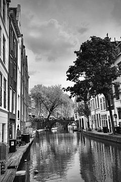 Spring on the canal in Utrecht