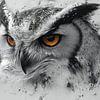 uil - uiltje van Gelissen Artworks