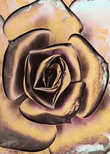 POPART DE SUCCULENTS I-2