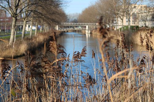 Kijk op Almeerse brug
