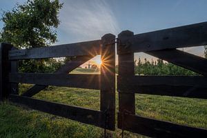 Molen de Vlinder in de vroege ochtend van Moetwil en van Dijk - Fotografie