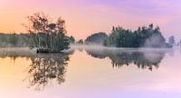 Magical Morning