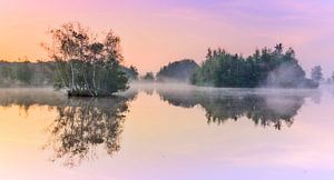 Magical Morning