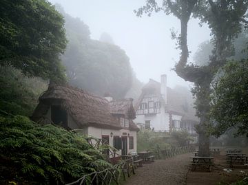 Maison forestière sur Orangefield-images