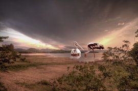 Vögel von Nina Olivari