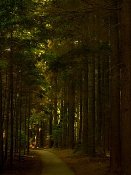 Laatste licht