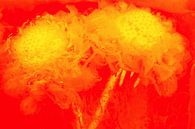 Helleborus in Eis in Orange von Marc Heiligenstein Miniaturansicht