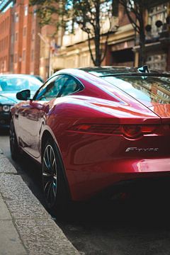 Jaguar F-Type  by Norbert de  Krijger