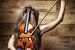 Violin tied to a model - music bondage von Rod Meier