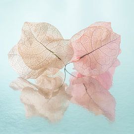 Pastel square: Together to the end by Marjolijn van den Berg