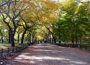 NewYork Central Park van Jeannine Van den Boer thumbnail