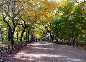 NewYork Central Park von Jeannine Van den Boer