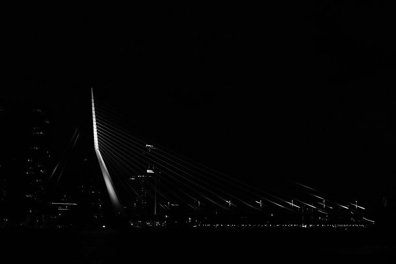 Erasmus bridge by Max Schollen