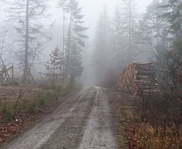 Thüringen in het bos in winterse mist van Wolfgang Unger