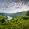 Panorama der Mosel bei Wolf und Kröv | Deutschland von RB-Photography
