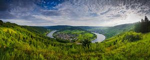 Panorama der Mosel bei Wolf und Kröv | Deutschland