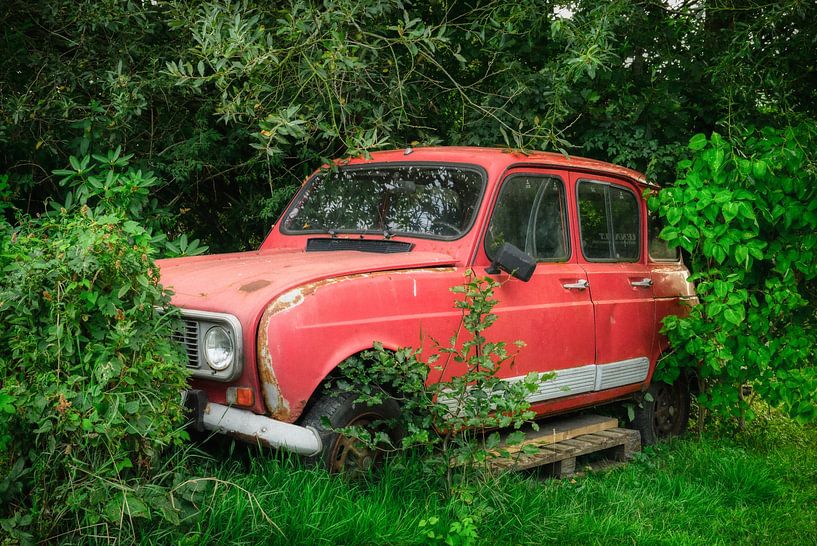 Oldstyle von Dieter König