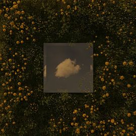 Square mirror reflects white single cloud and lies on green meadow by Besa Art