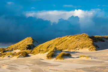 Landscape with dunes on the island Amrum van Rico Ködder