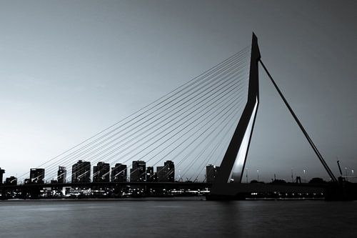 Rotterdam. Die Erasmus-Brücke.