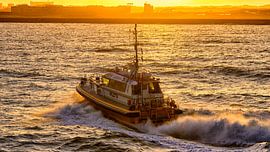 Tender Lacerta Loodswezen IJmuiden by Roel Ovinge