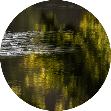 Abstracte herfst, reflecties op de Semois