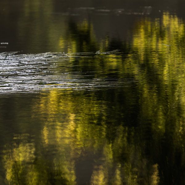 Abstrakter Herbst, Semois-Fluss-Reflexionen von Imladris Images