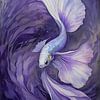 Betta Fisch - Lavendel von MIROKKU