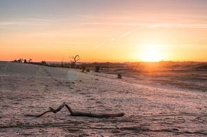 De Hoge Veluwe au coucher du soleil