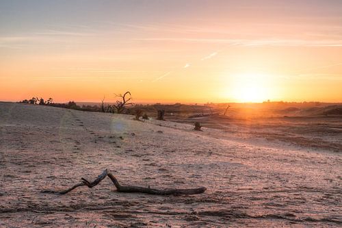 De Hoge Veluwe at Sunset