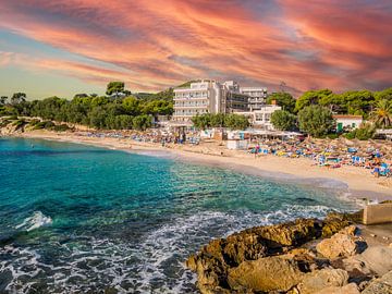 Strand van Son Moll in Cala Ratjada Mallorca van Animaflora PicsStock