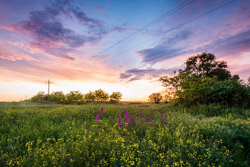 Zonsondergang in Hongarije