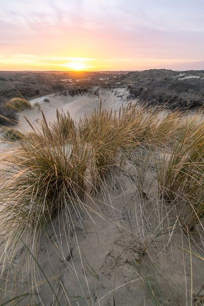 Duinen van Nederland by Dirk van Egmond