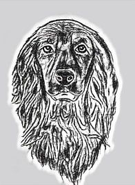 Cocker spaniel by Jose Lok